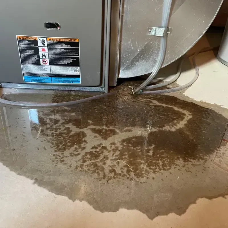 Appliance Leak Cleanup in McArthur, OH